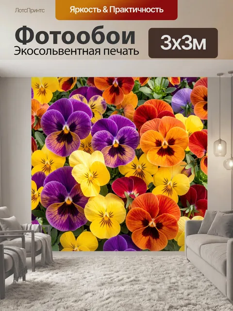 Фотообои Яркие разноцветные анютины глазки