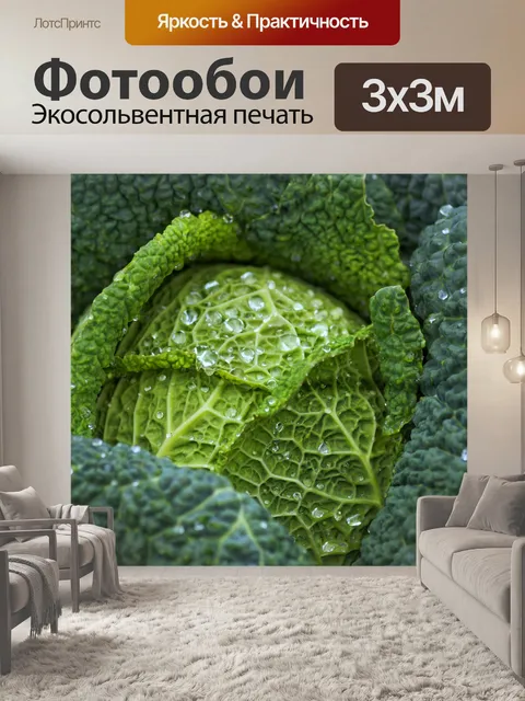 Фотообои Капуста салат из капусты еда
