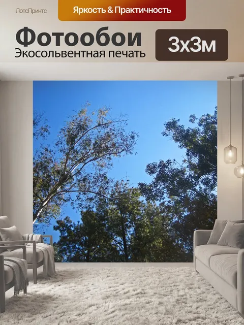 Фотообои вид сверху на верхушки деревьев