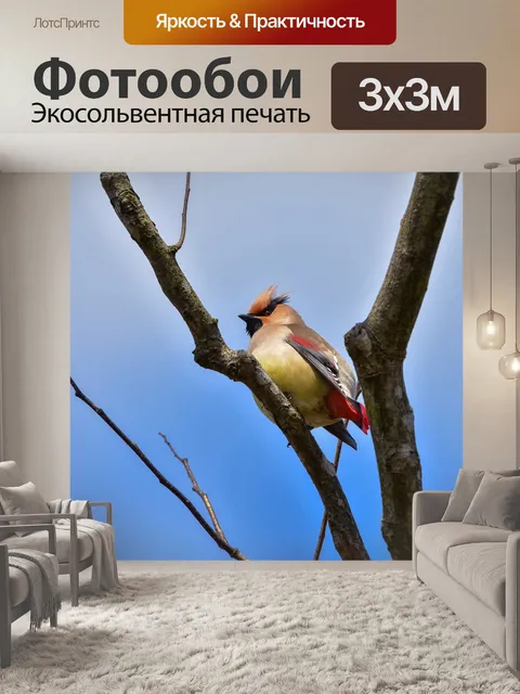 Фотообои Животное