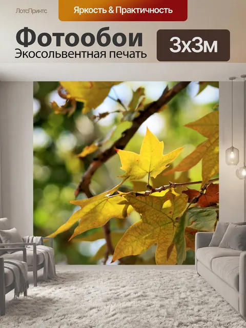 Фотообои Дерево клена с желтыми листьями