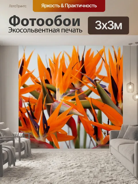 Фотообои Стрелец