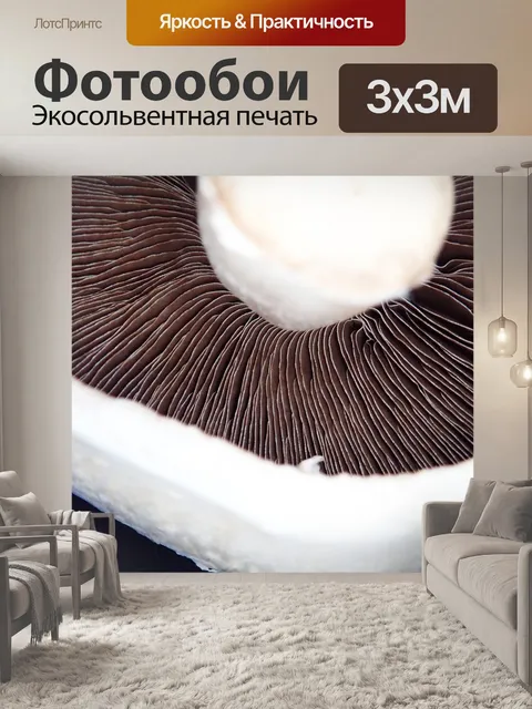 Фотообои Гриб