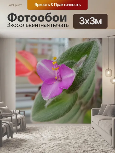Фотообои Розовый цветок