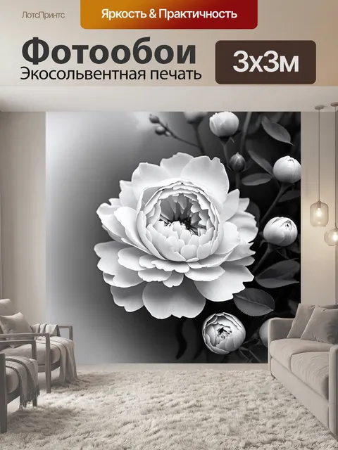 Фотообои пионы в черно-белом стиле, окруженные нежными линиями и узорами, создающими волшебный и мечтательный эффект