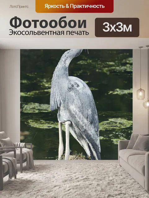 Фотообои Общий журавль у кромки воды