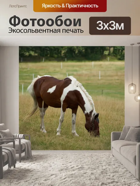 Фотообои Лошадь на лугу
