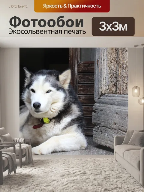 Фотообои Собака
