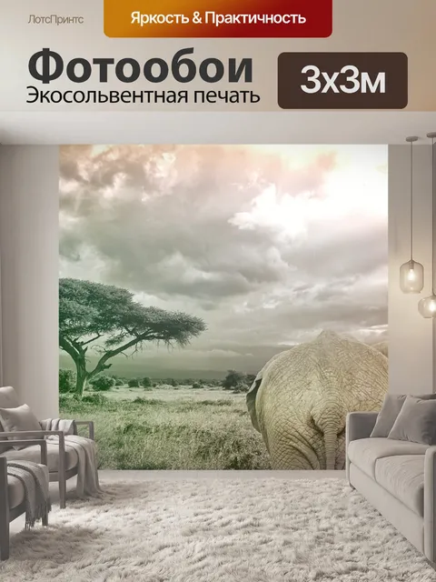 Фотообои Слон