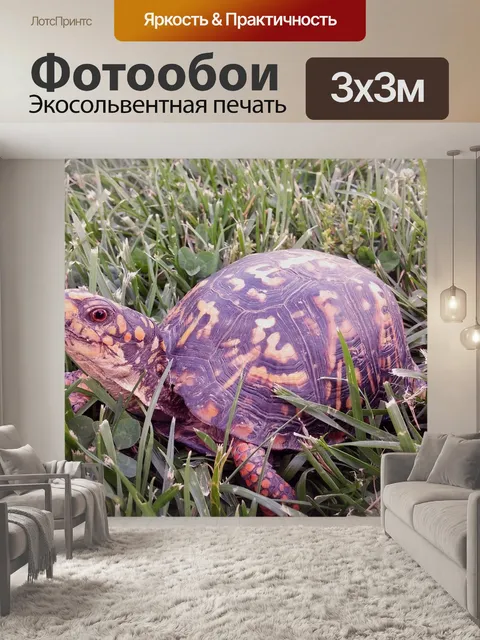 Фотообои Восточная box черепаха