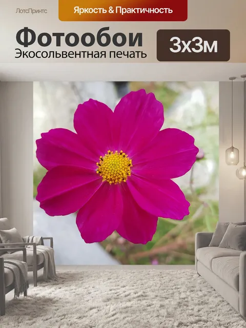 Фотообои Осень