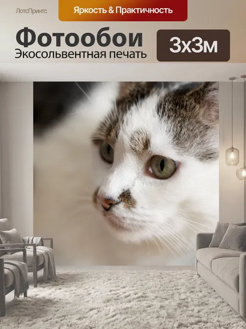 Фотообои Кот