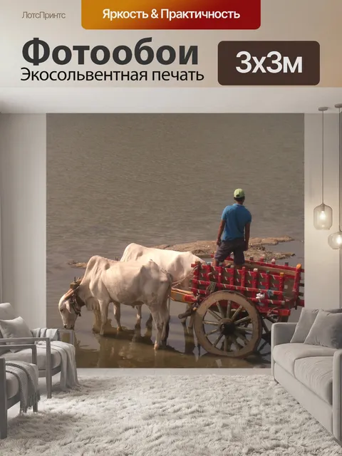 Фотообои Буллок корзину
