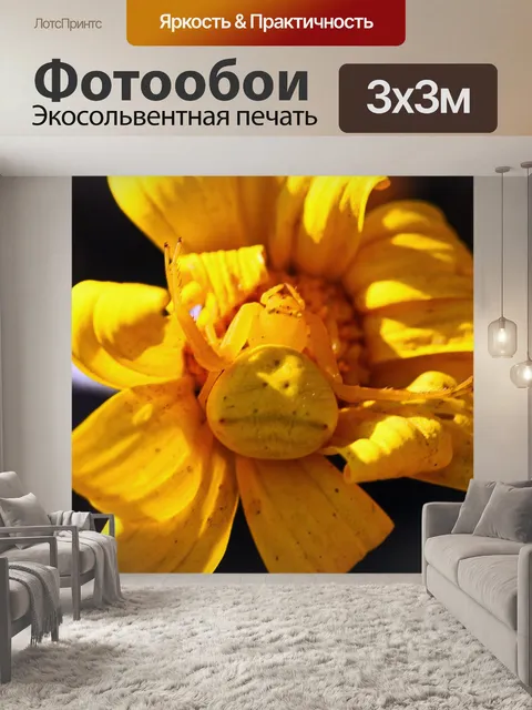 Фотообои Желтый цветок крабовый паук
