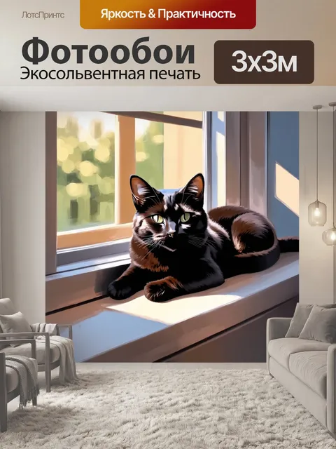 Фотообои сцена черного кота, лежащего на окне, через которое проникает мягкий солнечный свет