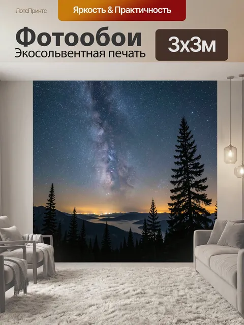 300 × 300 см · Экосольвентная печать