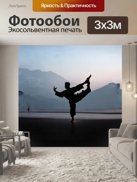 Фотообои силуэт тренирующегося мастера кунг-фу