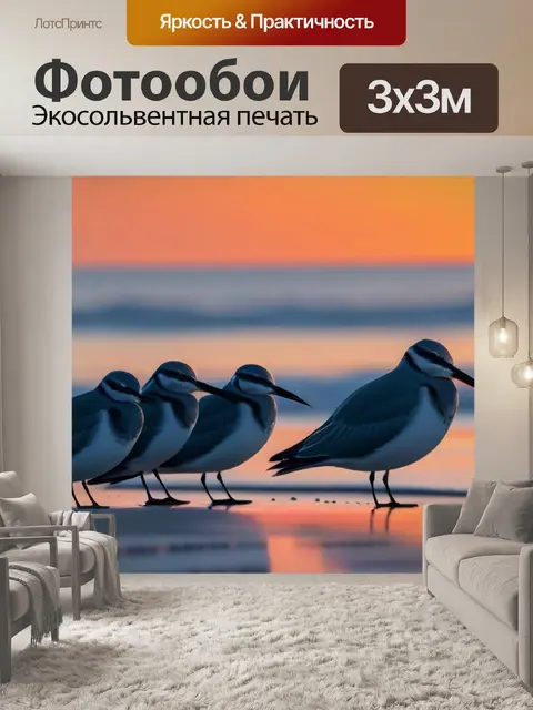Фотообои птицы, отдыхающие на пляже при выходе солнца