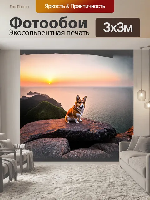 Фотообои одинокий корги сидит на скале overlooking тайваньский пролив во время заката