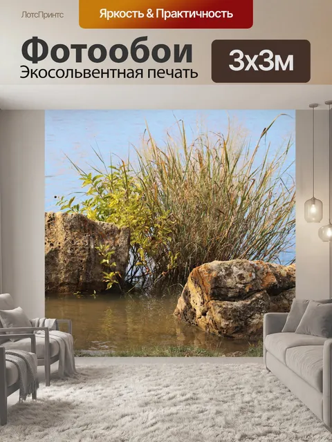 Фотообои Скалы и дикая трава на берегу