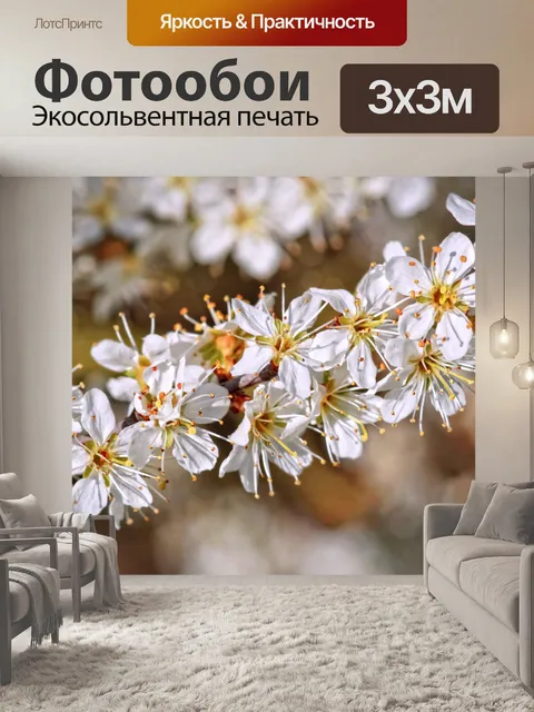 Фотообои Цветок куста боярышника