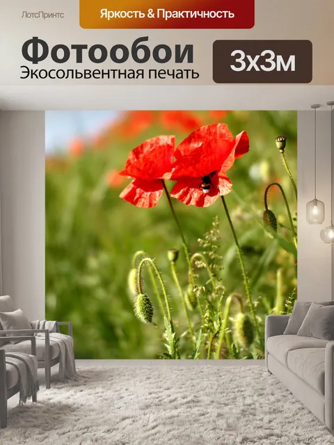 Фотообои Маки