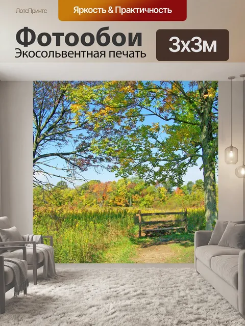 Фотообои Путь в поле