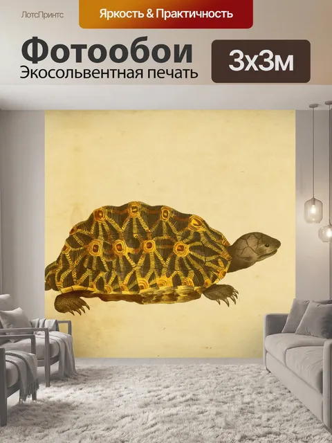 Фотообои Черепаха Живопись Античная Бумага
