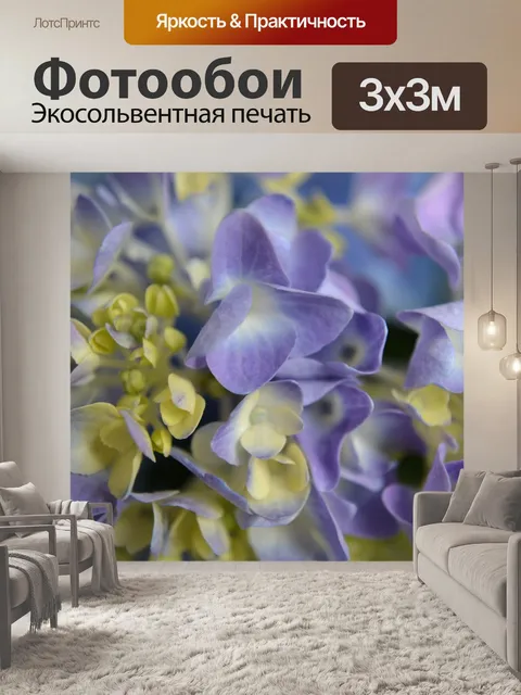 Фотообои Гортензия