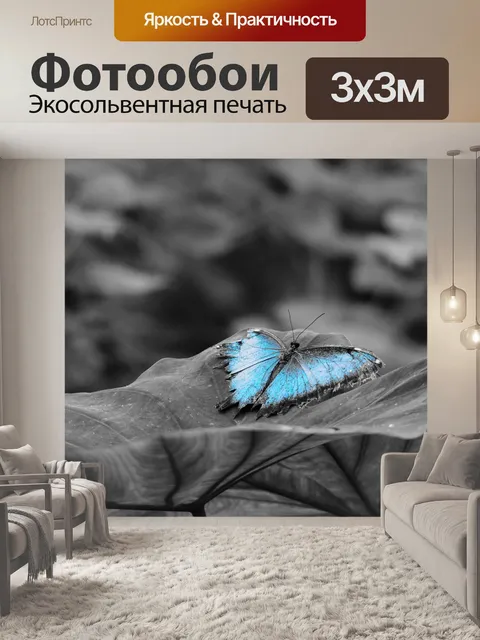 Фотообои Бабочка