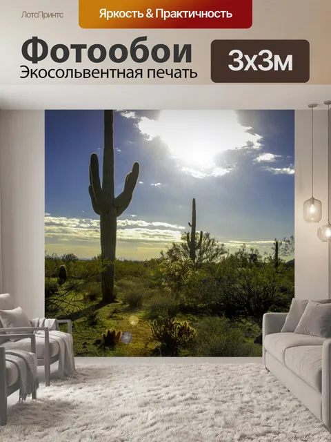 Фотообои Аризона пейзаж пустыни