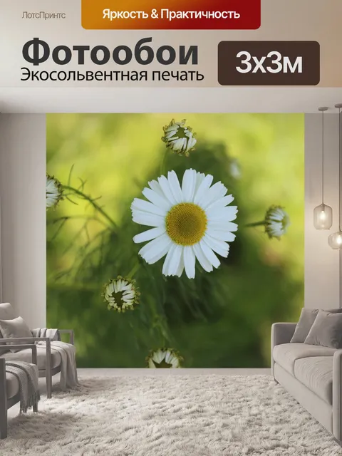 Фотообои Ромашка