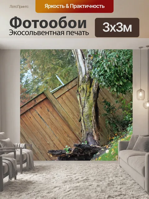 Фотообои Выкорчевали дерево