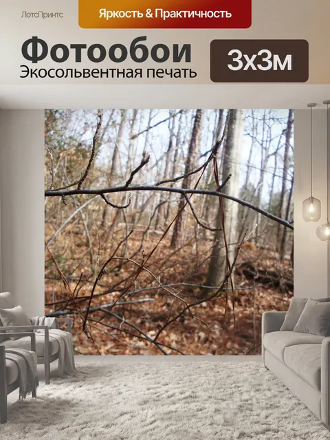 Фотообои Затуманенное зрение Отрасль