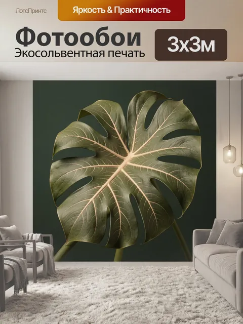 Фотообои Тропический лист монстеры крупным планом