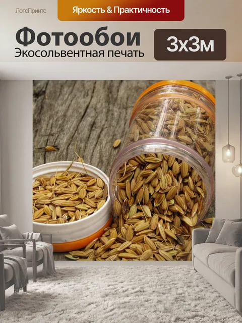 Фотообои Пэдди