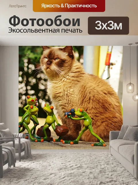 Фотообои Кот
