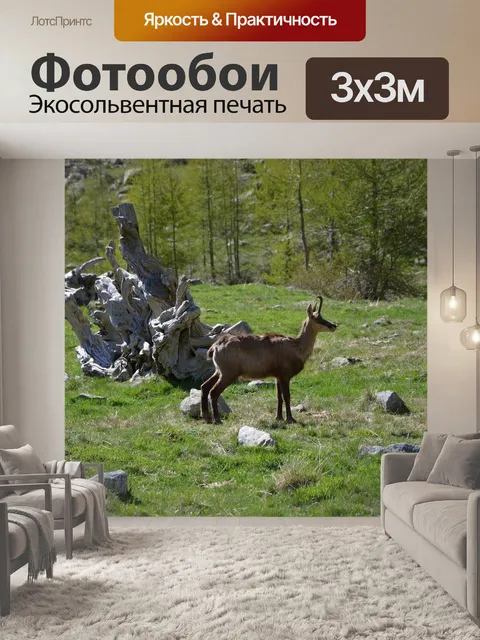 Фотообои Замша