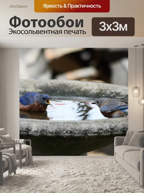 Фотообои Bossy Bluebird