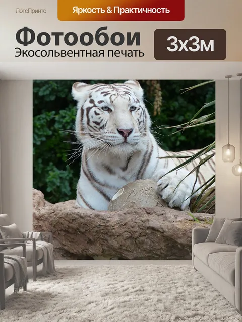 Фотообои Белый бенгальский тигр