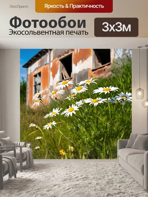 Фотообои ромашки на фоне старого заброшенного здания, где природа постепенно забирает своё