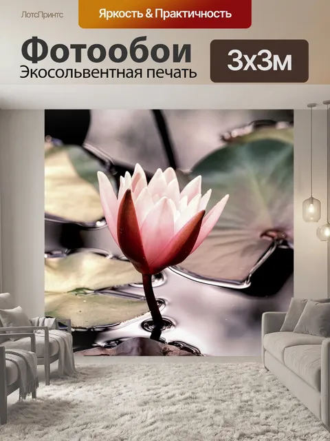 Фотообои Водяная лилия