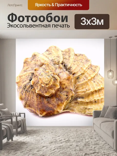 Фотообои Снаряды