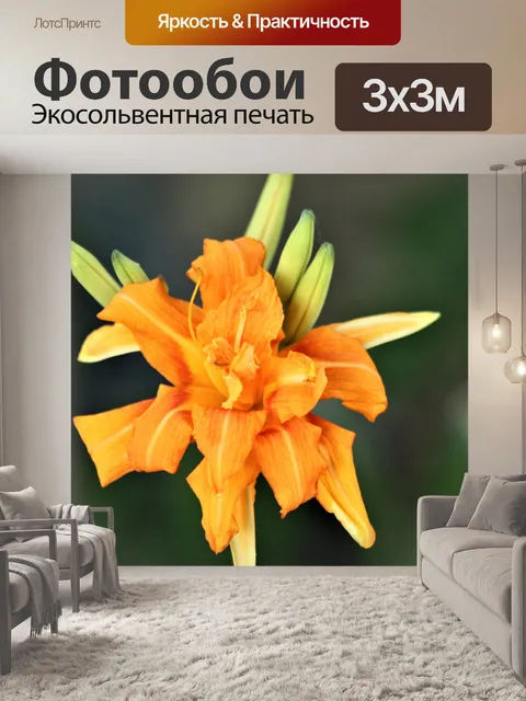 Фотообои Оранжевая лилия и бутоны