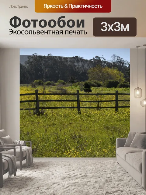 Фотообои Желтое поле цветов