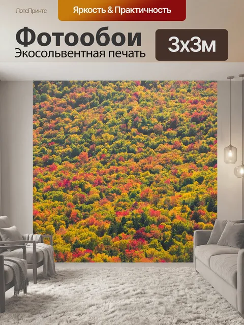 Фотообои Осенние деревья фон