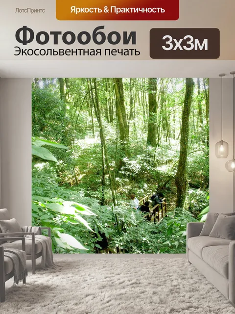 Фотообои Природа тропический лес дои Интанон наци