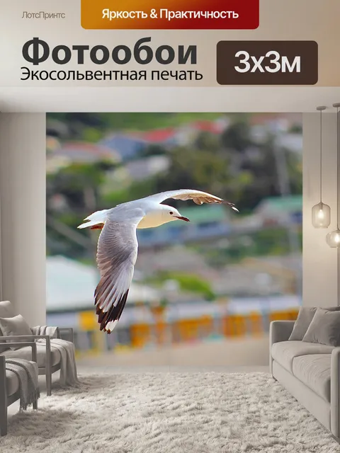 Фотообои Птица