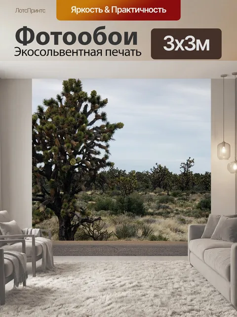 Фотообои Джошуа Три Какти
