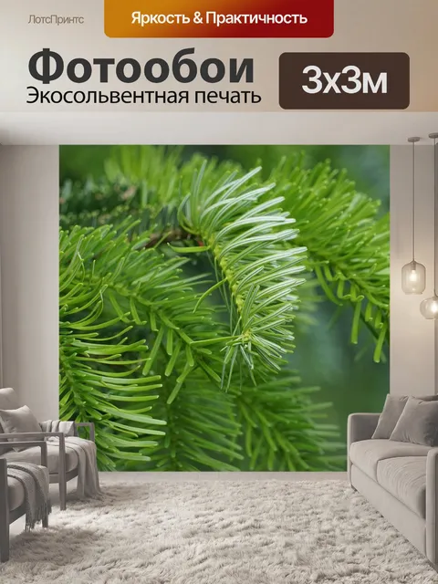 Фотообои Ель